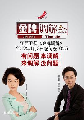 金牌调解——我们这十年电视剧免费观看