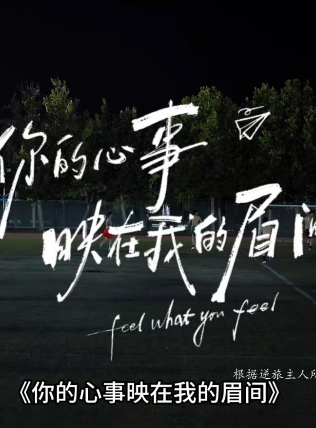 你的心事映在我的眉间——新乌龙山剿匪记电视剧