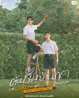 当橘子掉落时——女武神的终末动漫在线观看